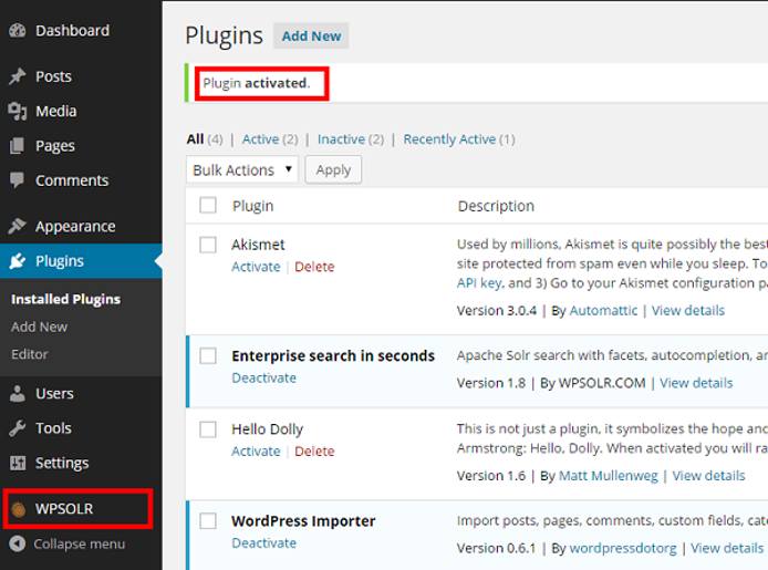After WPSolr activation