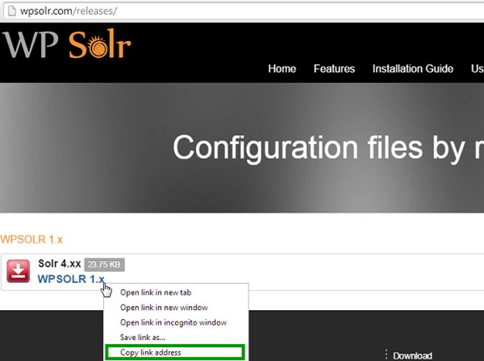 WPSolr Configuration Download