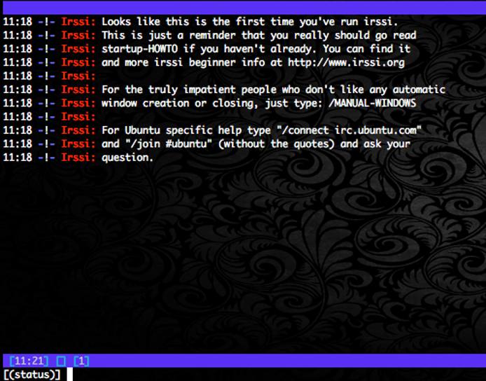 Irssi&rsquo;s default message.